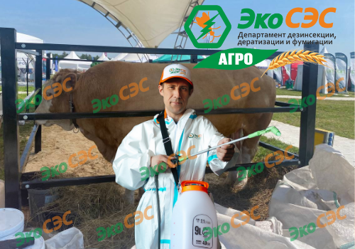 Дезинфекция коровников